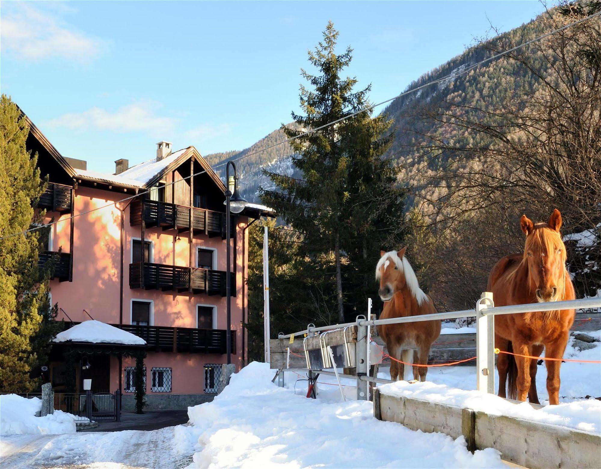 Park Hotel Bellevue Dimaro Exterior foto